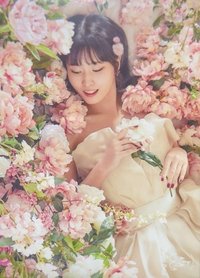 二巡 明信片 大卡