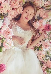 二巡 明信片 大卡