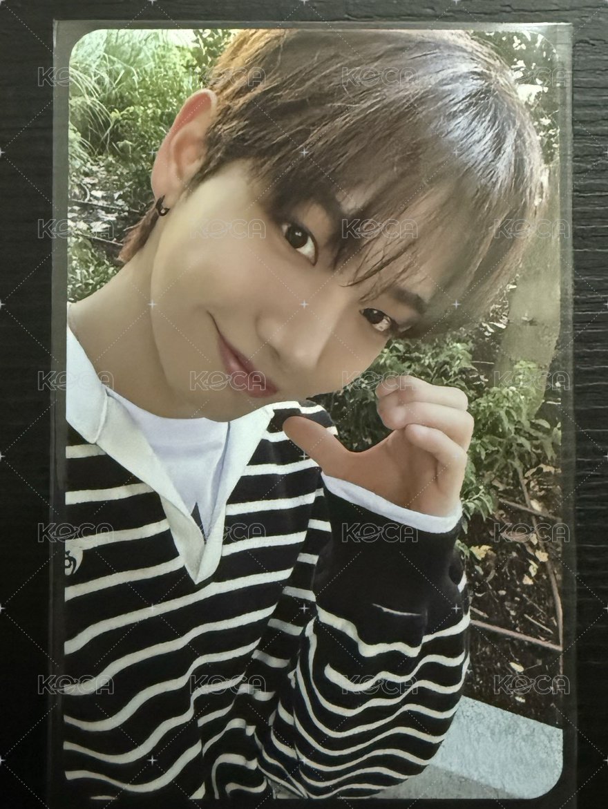 馬德里回憶錄 wvs jaehyun周邊卡 特點卡與拍立得