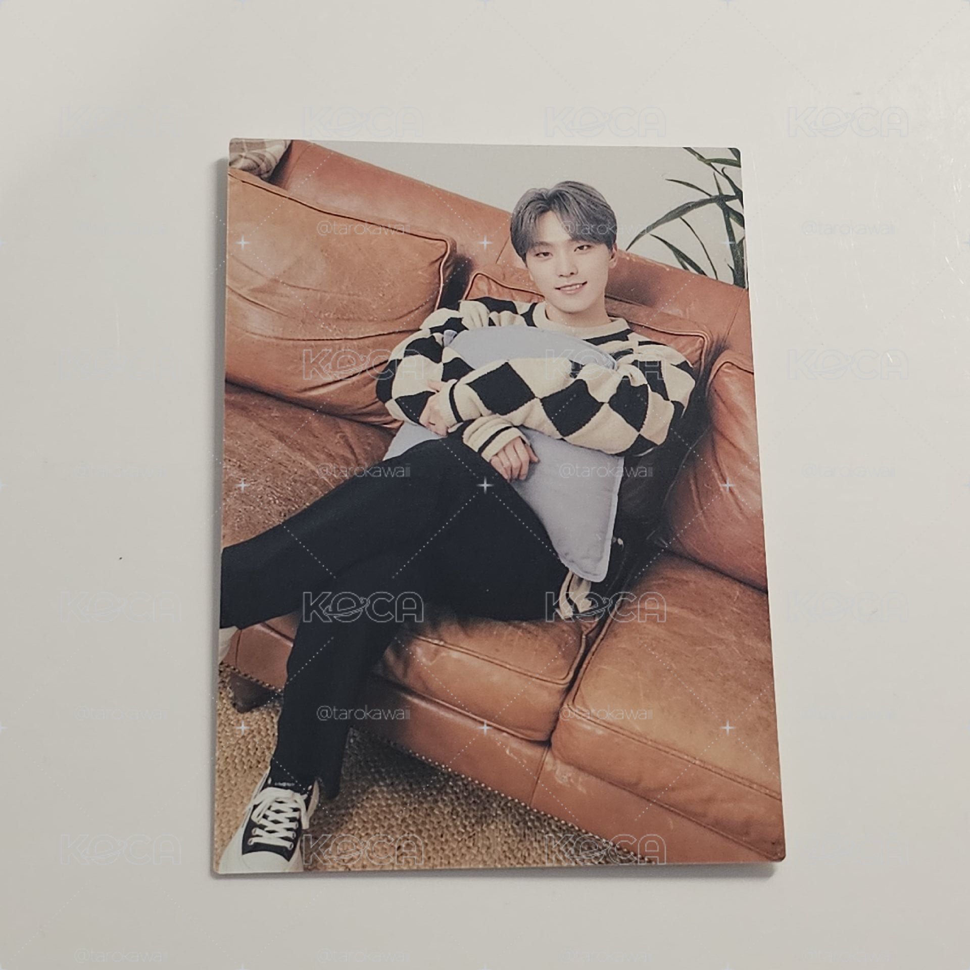 SEVENTEEN 21’HOME DINO隨機卡 