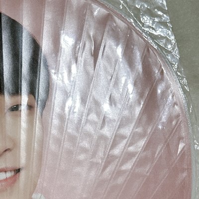 【圓佑】CARAT CAMP大扇