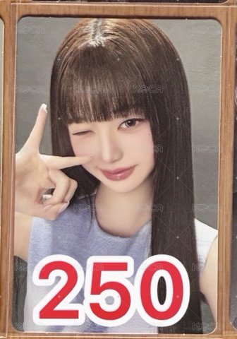 ms員
