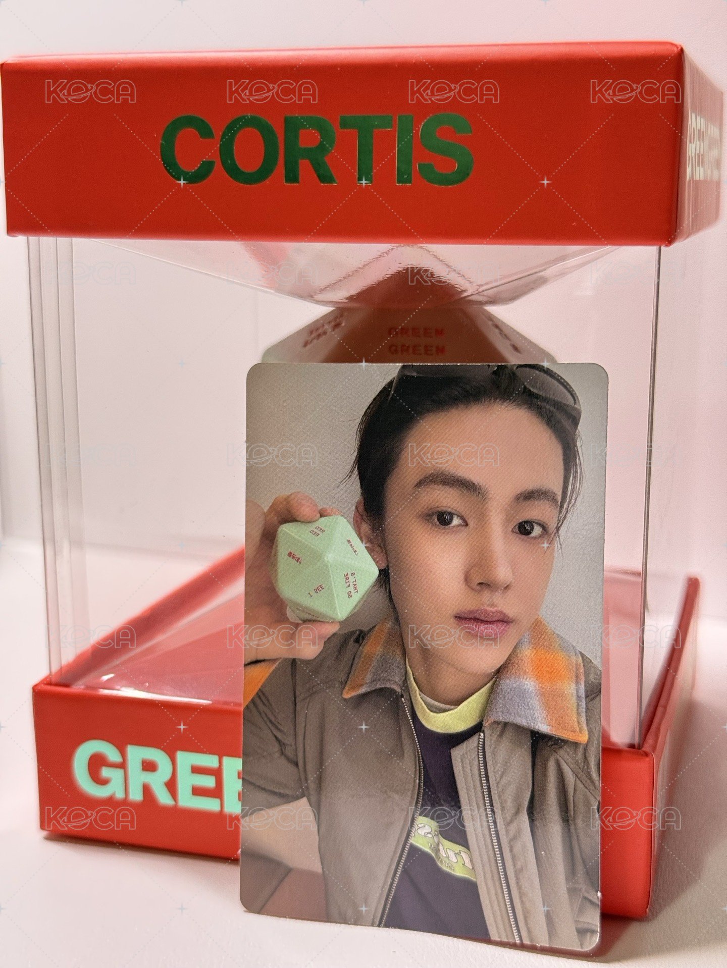 骰子專卡🦊