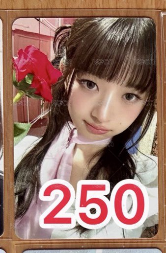 玫瑰花怜