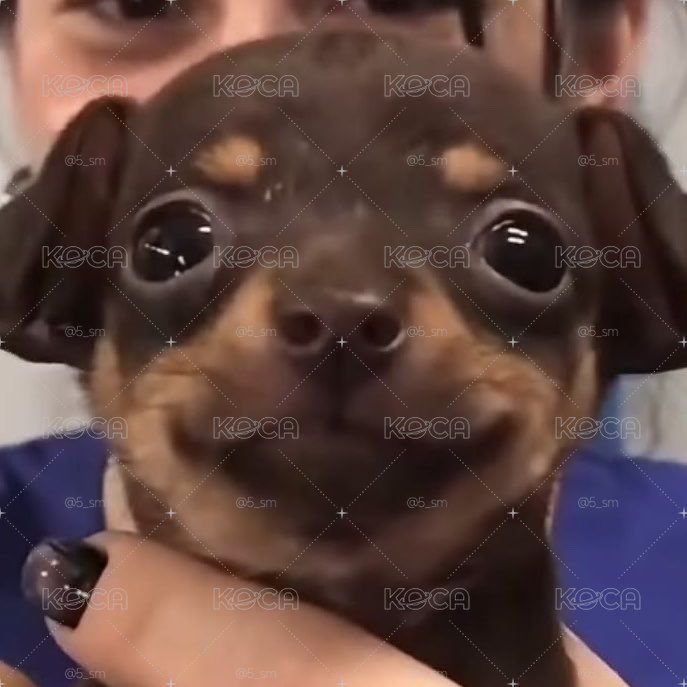 棒棒糖3