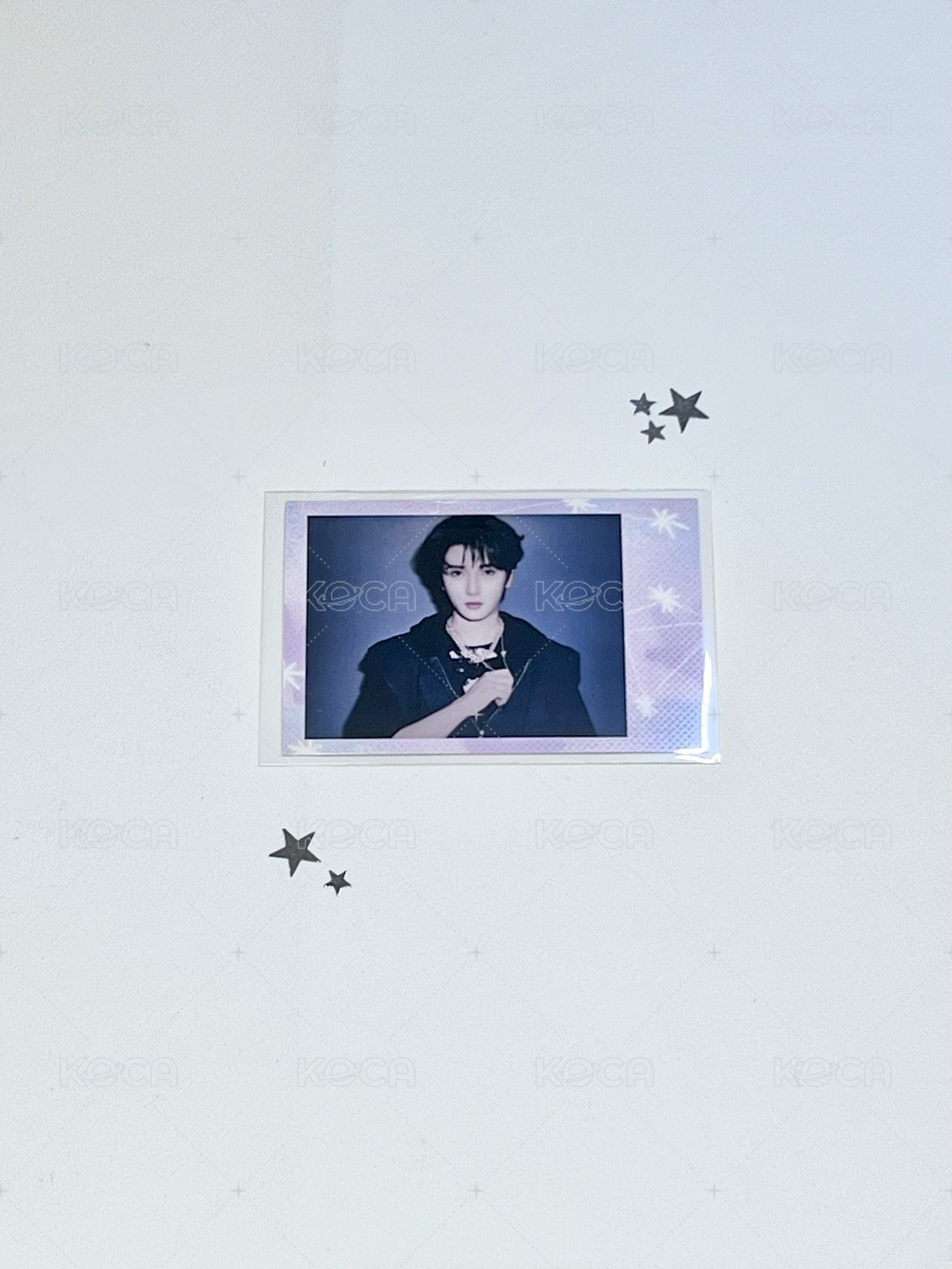 🐻✨