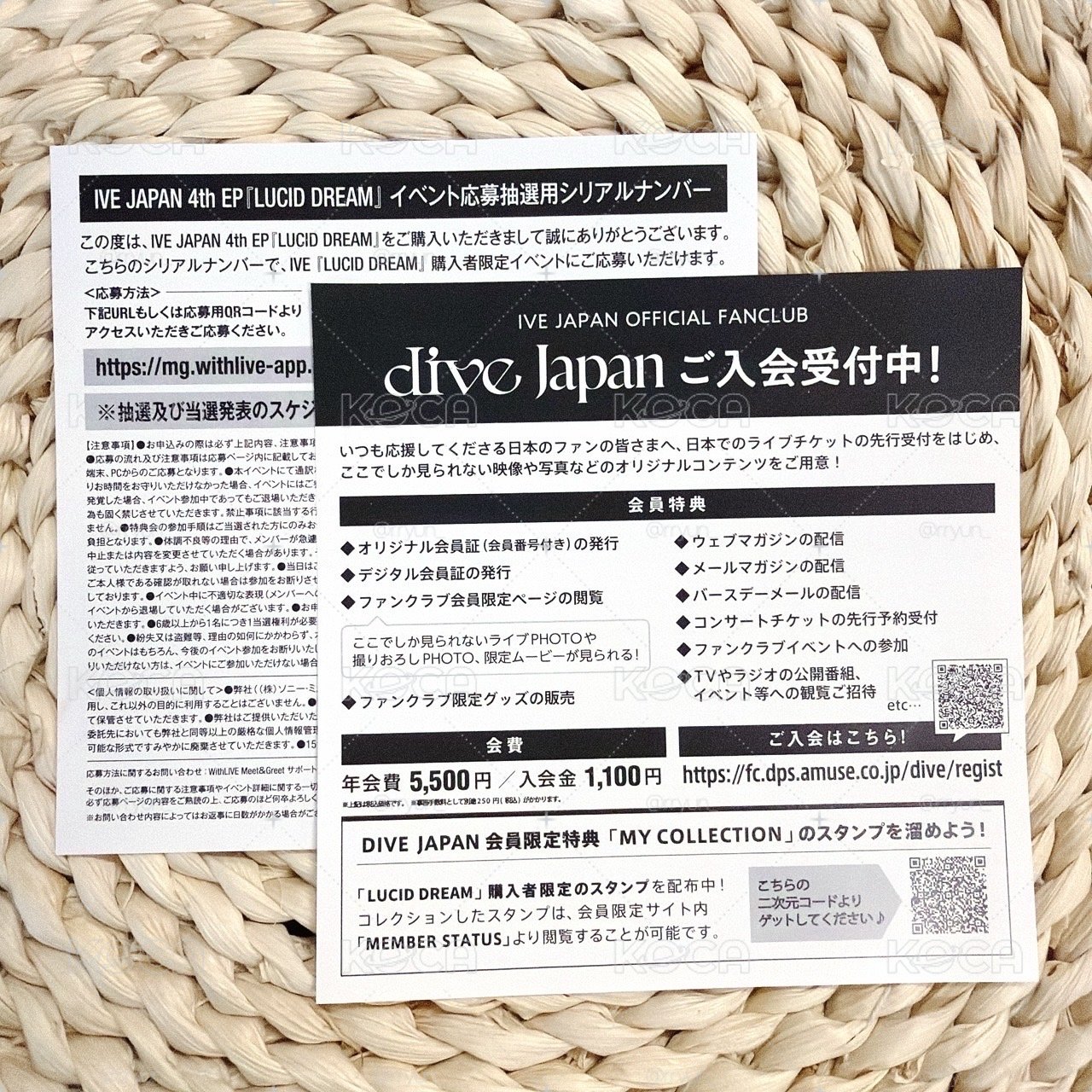lucid dream應募券