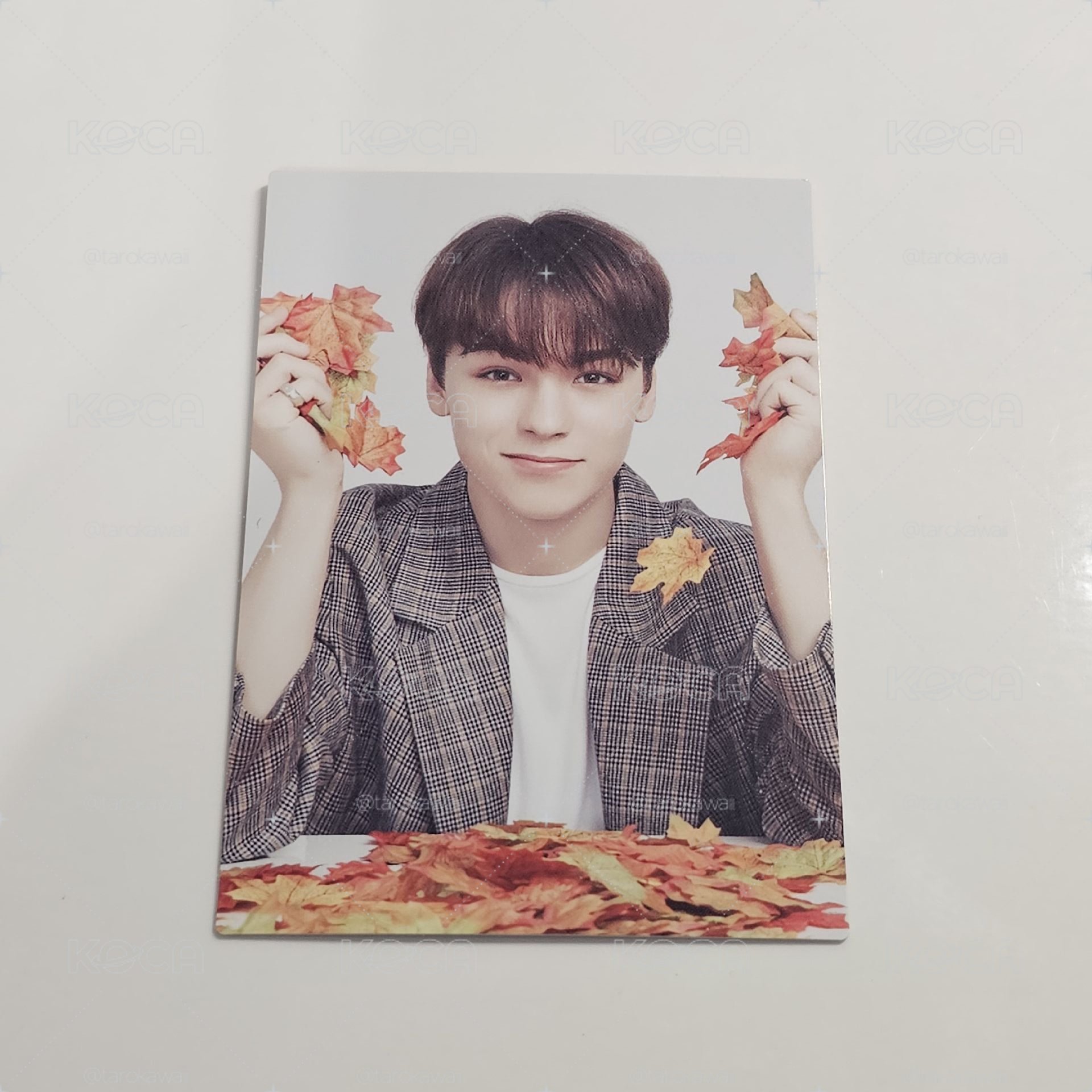 SEVENTEEN 19’OTY VERNON隨機卡 楓葉卡