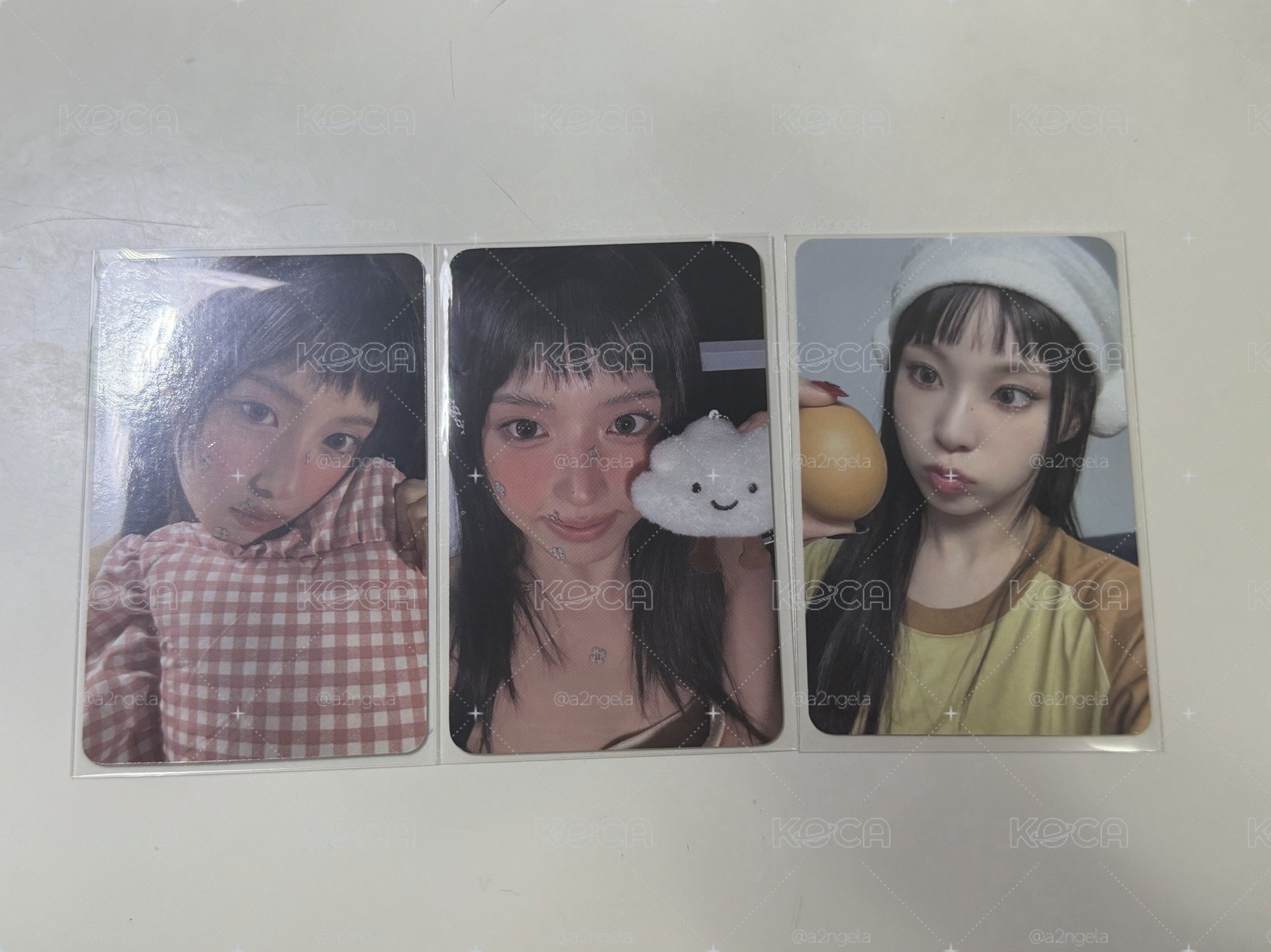 狗狗貓貓