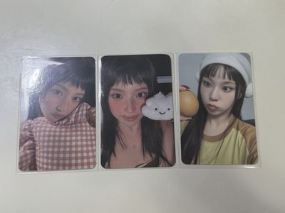 狗狗貓貓