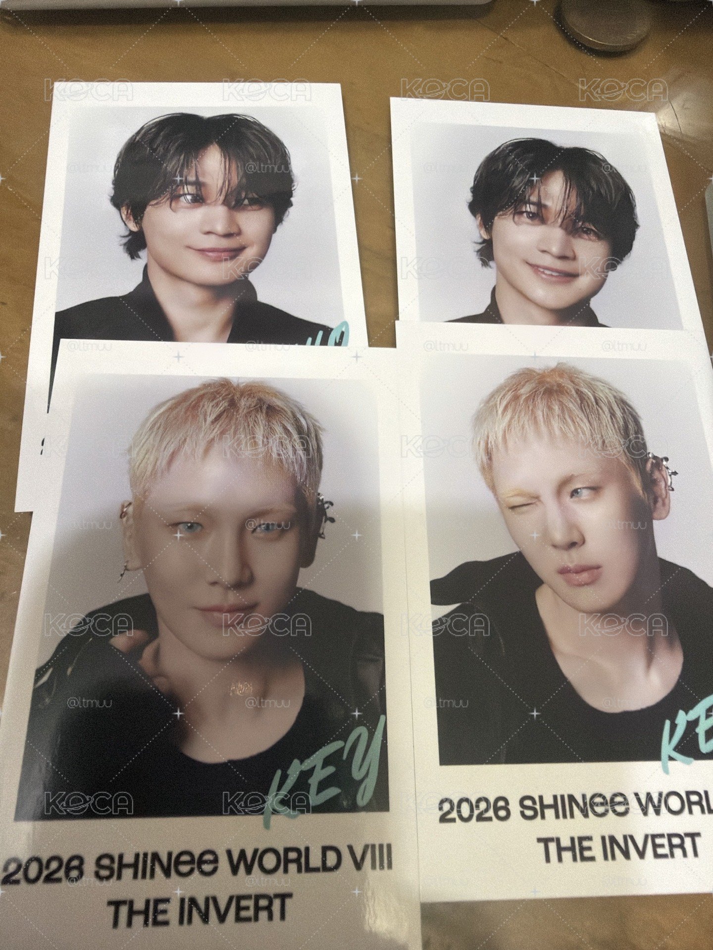 SHINee world VII in Japan 隨機卡