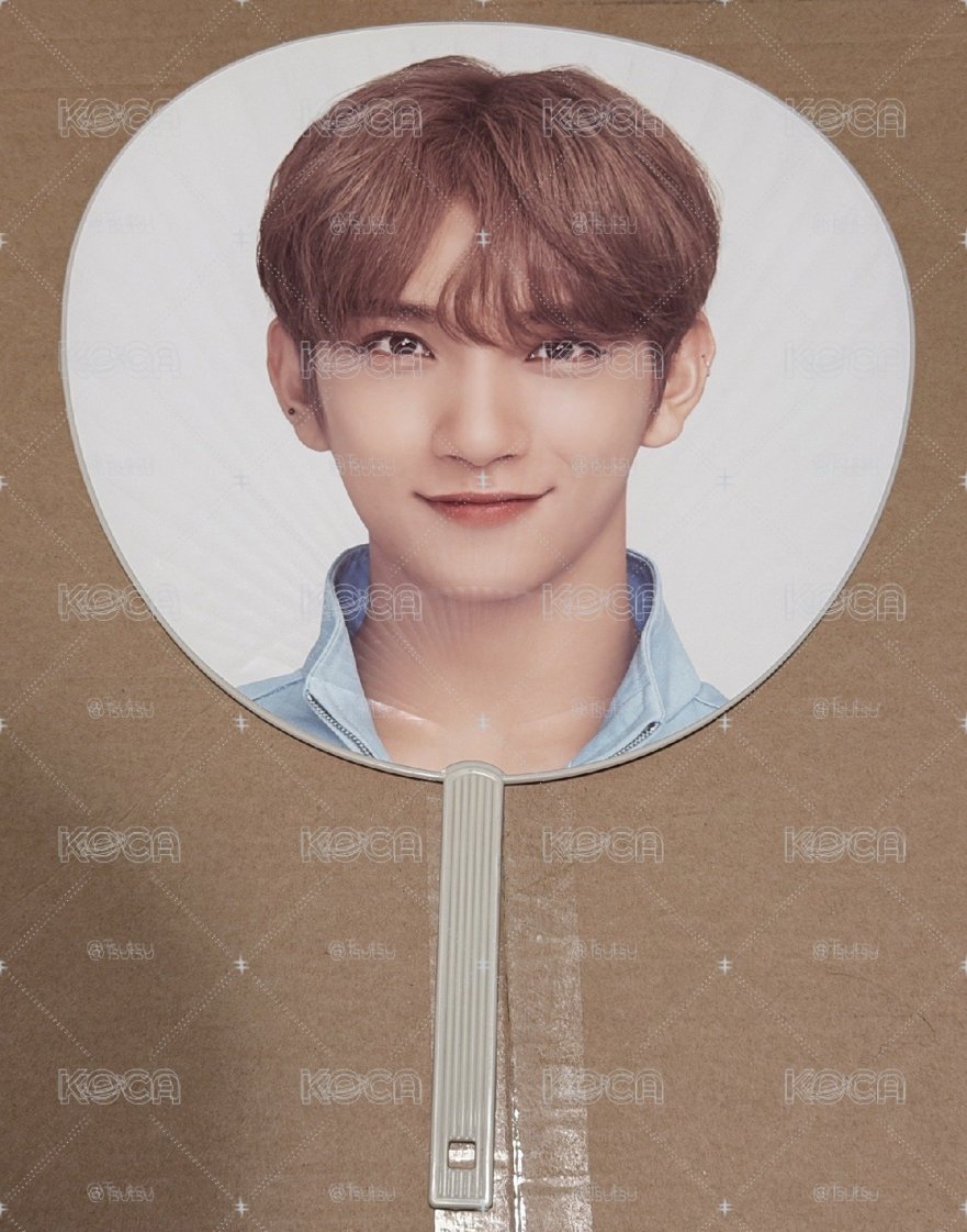 （現貨 紙箱寄出 一日左右寄出）seventeen 洪知秀 日巡 2019 大扇 扇子