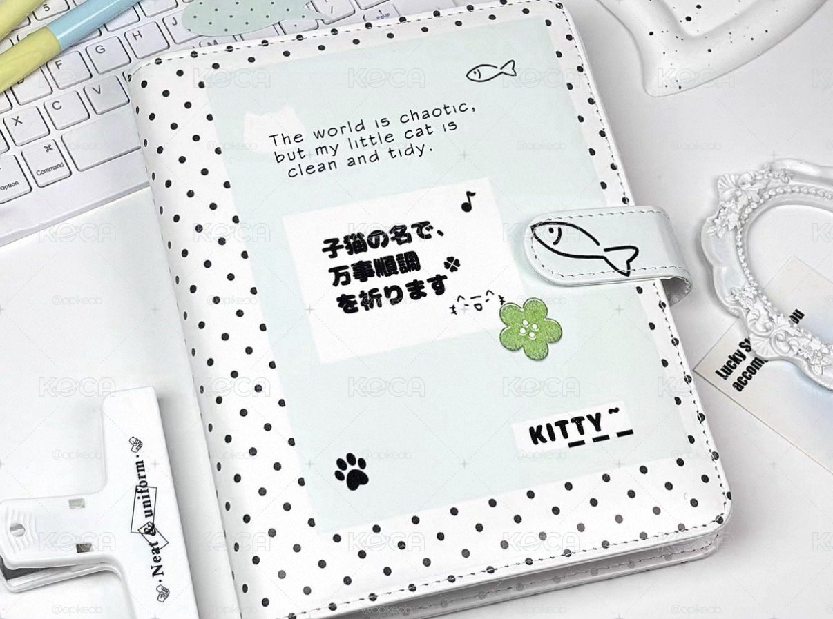 皮質卡冊