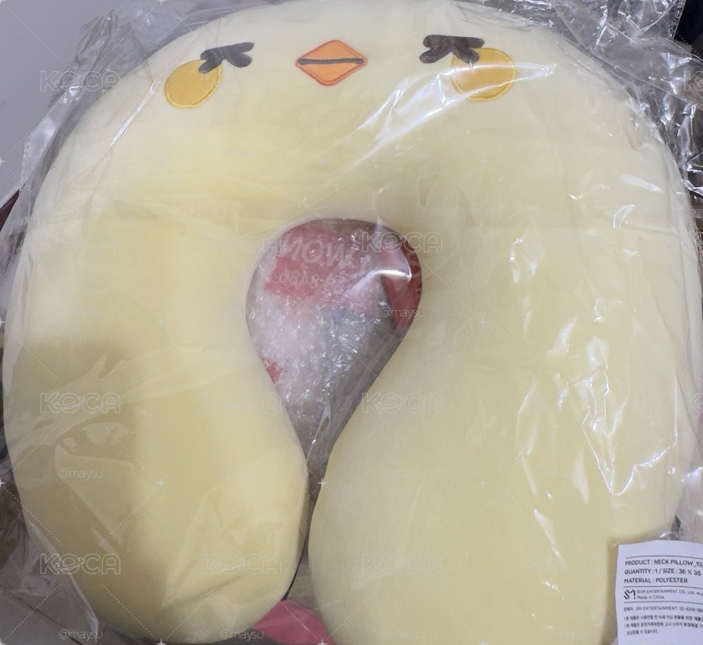 exo 6巡 世勳  頸枕