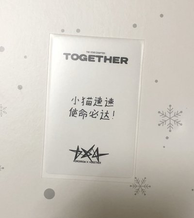 小貓速速
