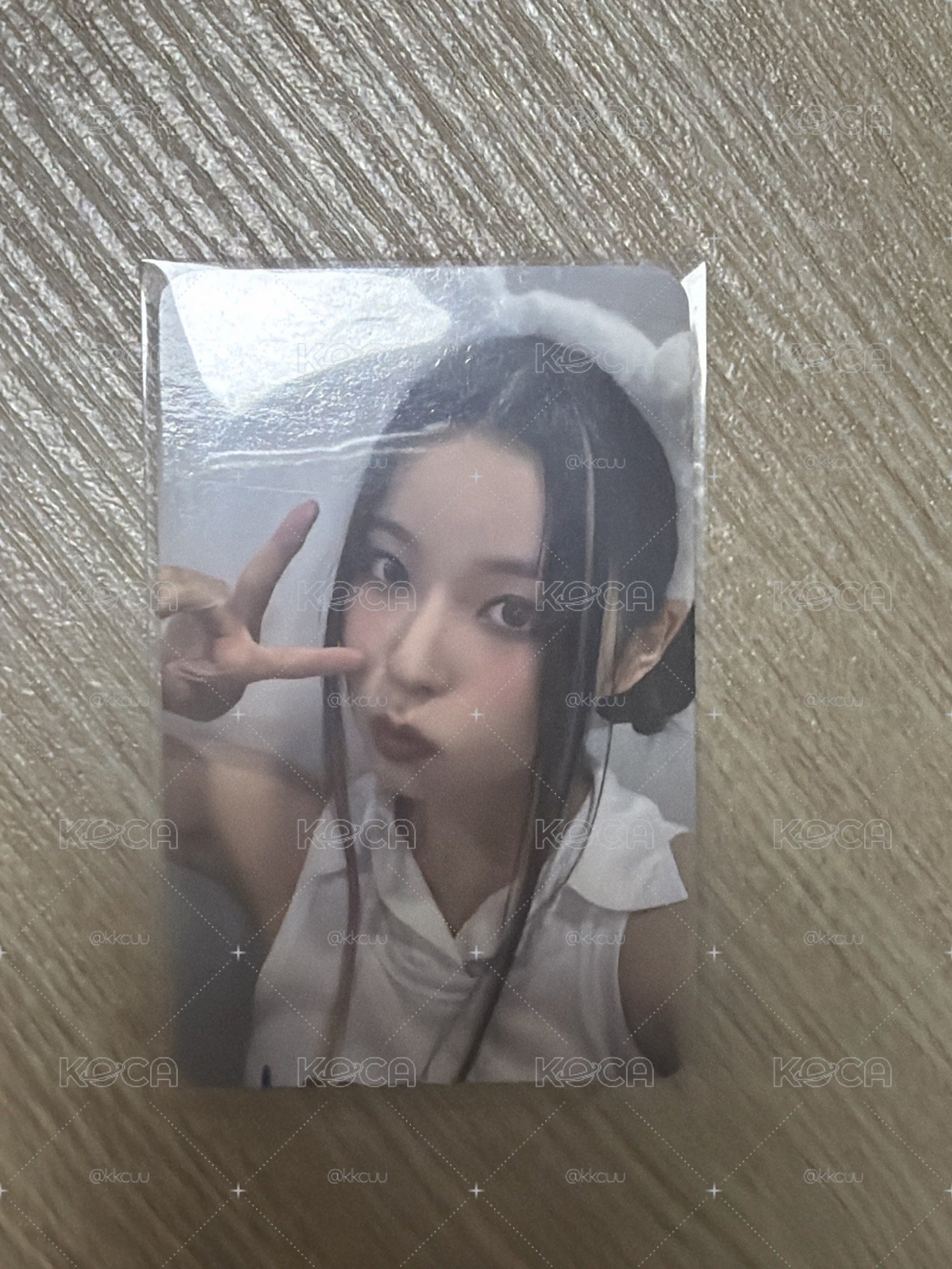 小熊珍