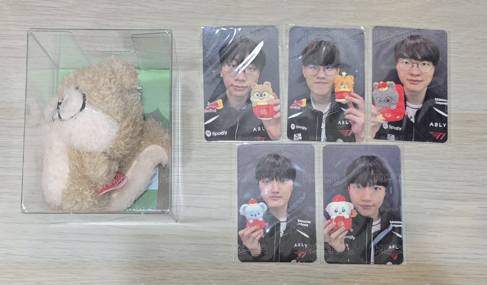 T1 一代潦草鼠盤