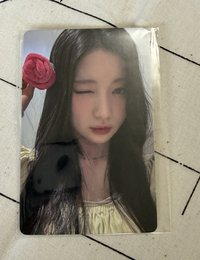玫瑰紗