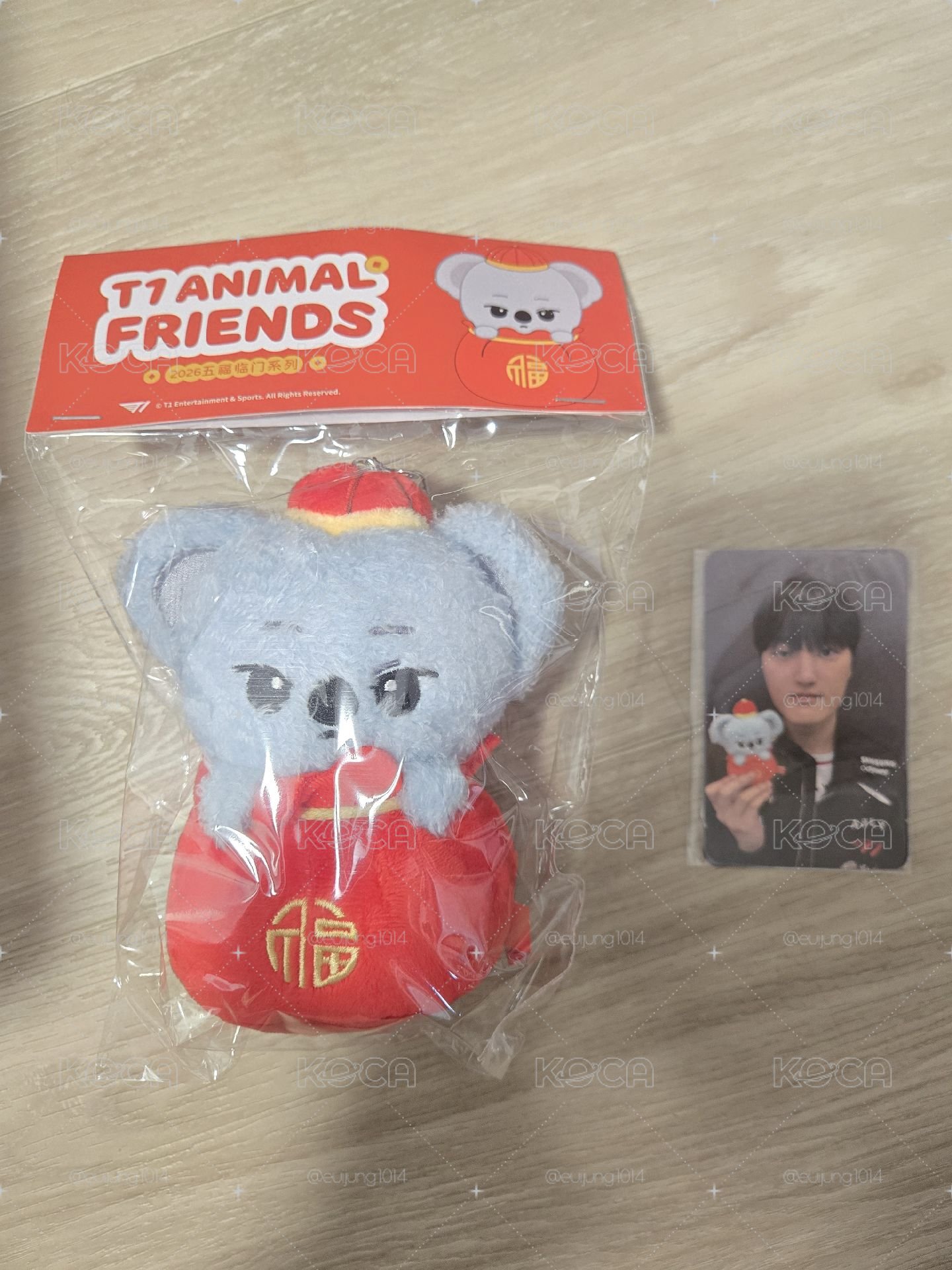 P新春娃+卡