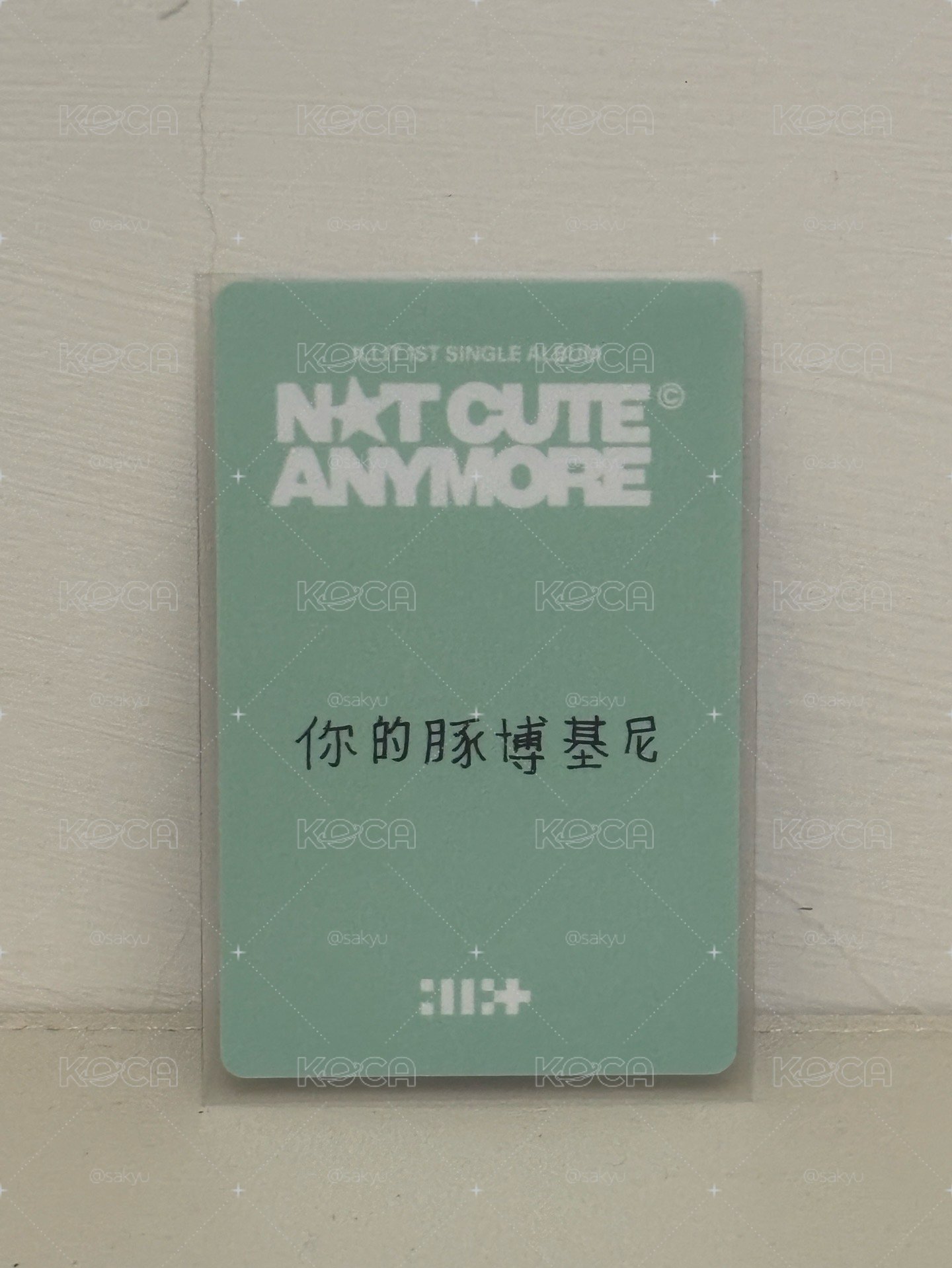 Wonhee 中背 你的豚博基尼