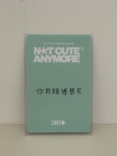 Wonhee 中背 你的豚博基尼
