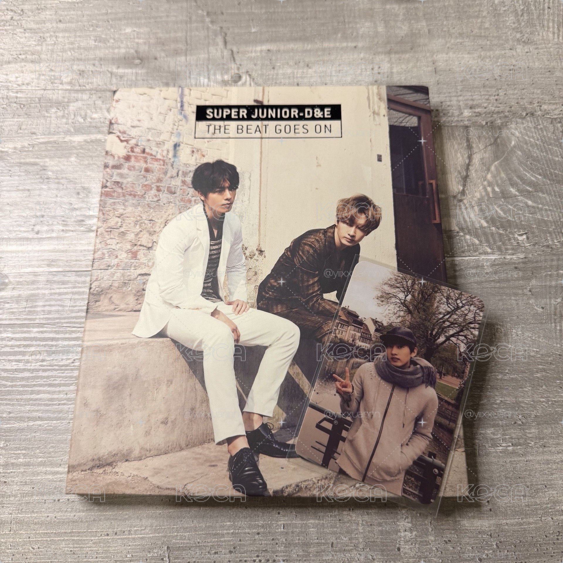 SJ D&E 全專（銀赫卡）