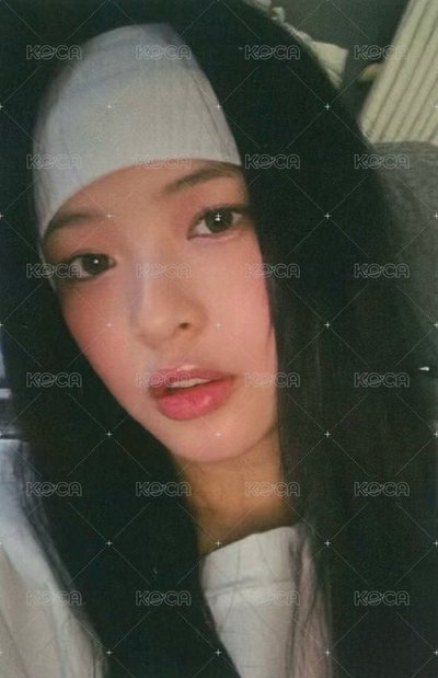 東蛋哈丹貓