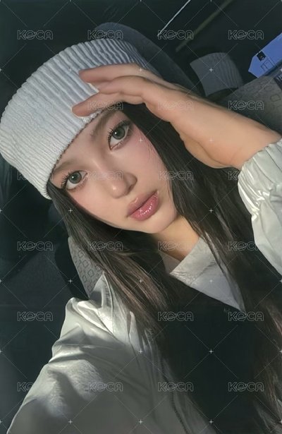 東蛋哈丹貓