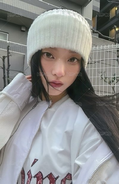 東蛋哈丹貓