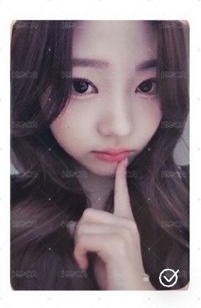 mokket簽售絢