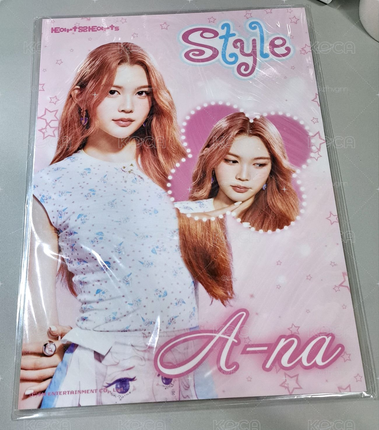 Ana╶ 指南書（綁物）