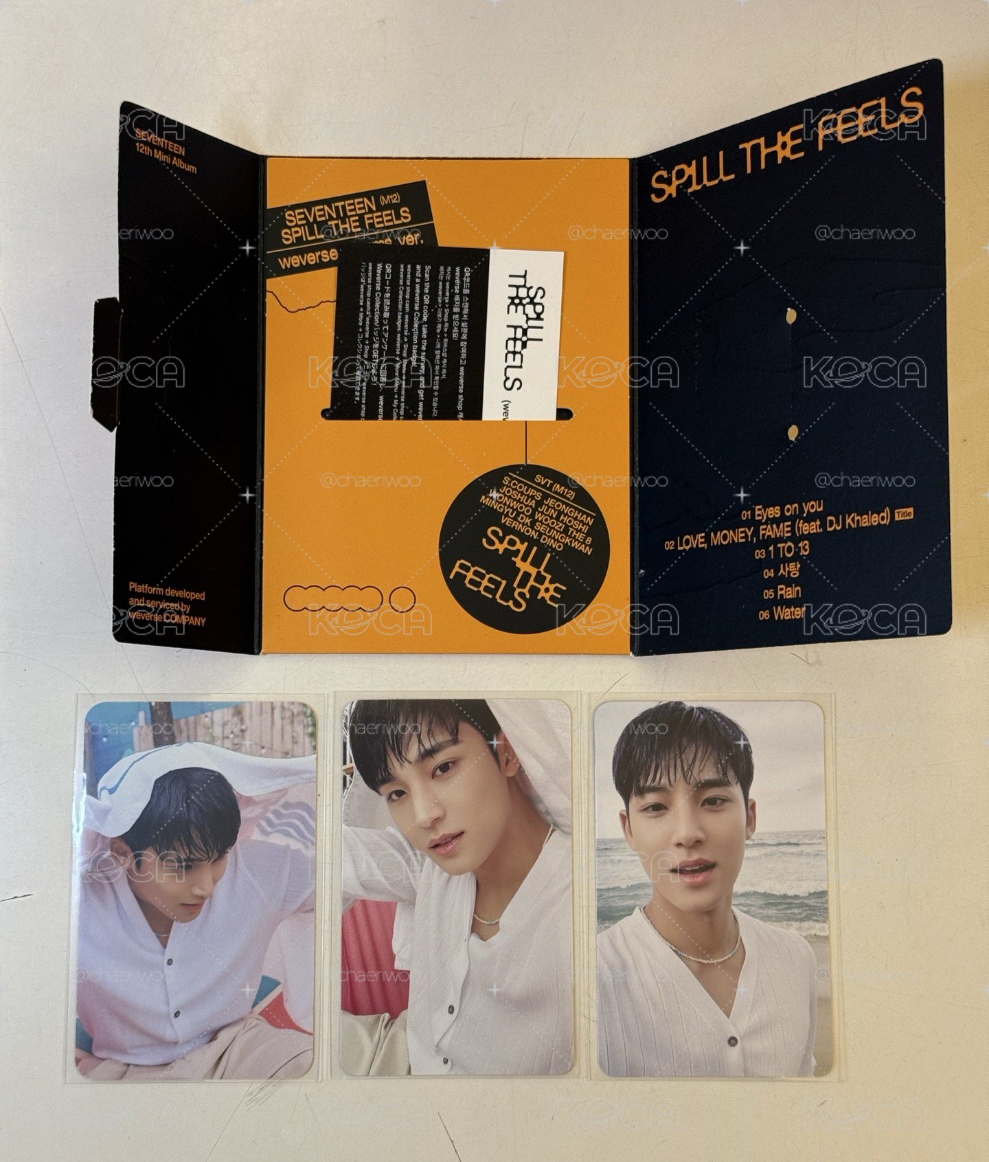 Seventeen 迷12 電子專 金珉奎