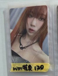 wm冬