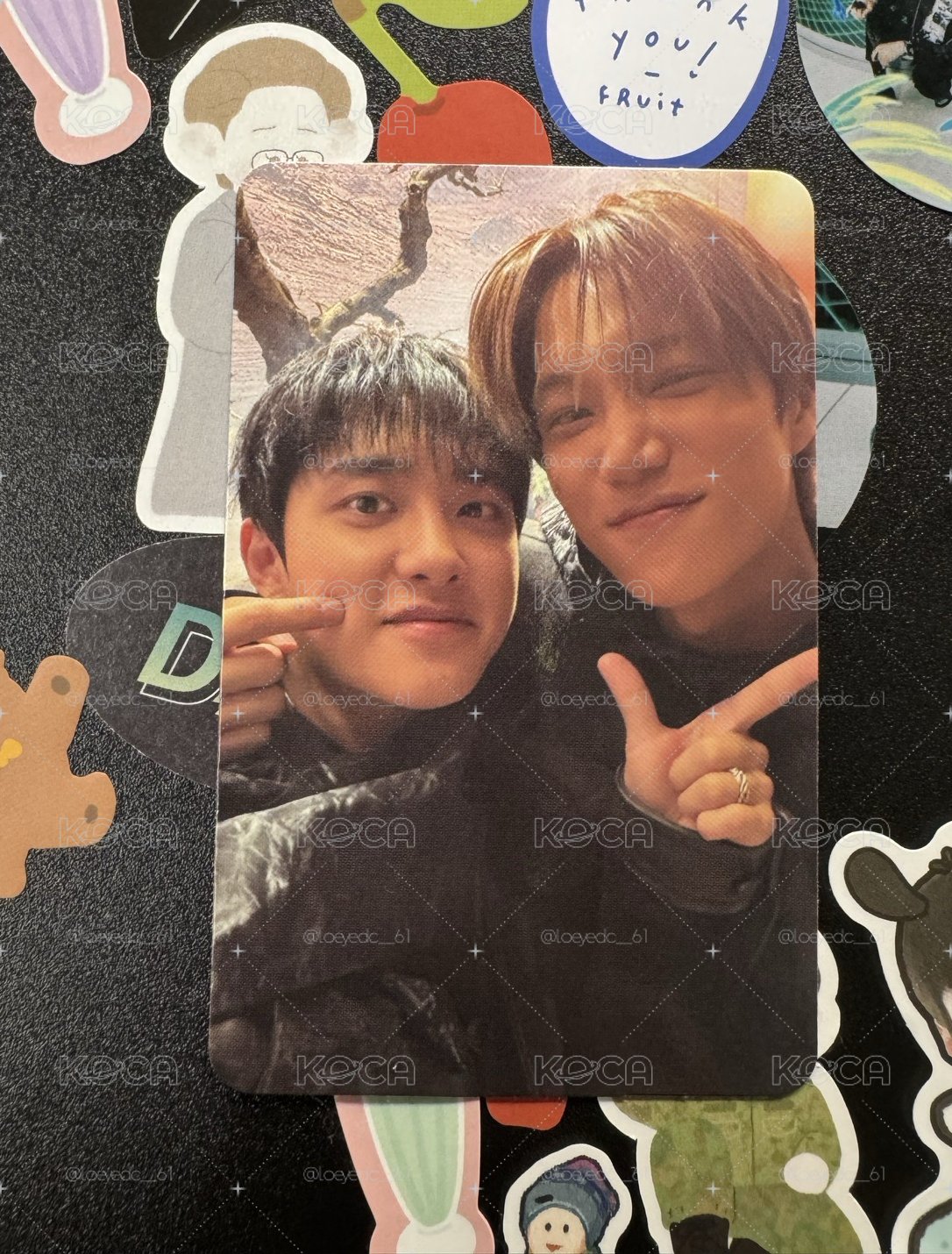 🛸EXO 🐻🐧開嘟雙人卡