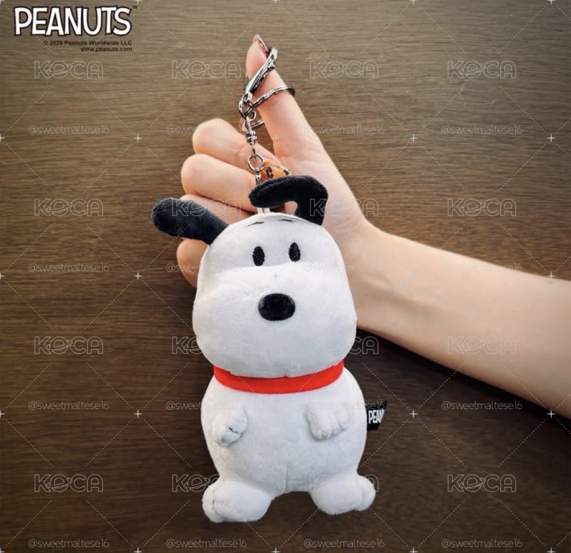 新竹狗 飛機耳 Snoopy