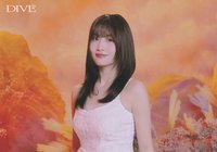 JP正規五 明信片 大卡39