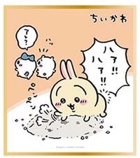 ensky 紙品 