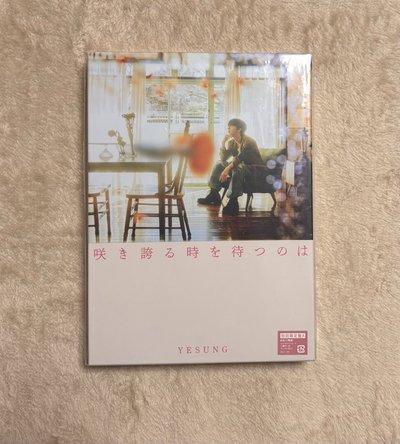 藝聲日專2 空專