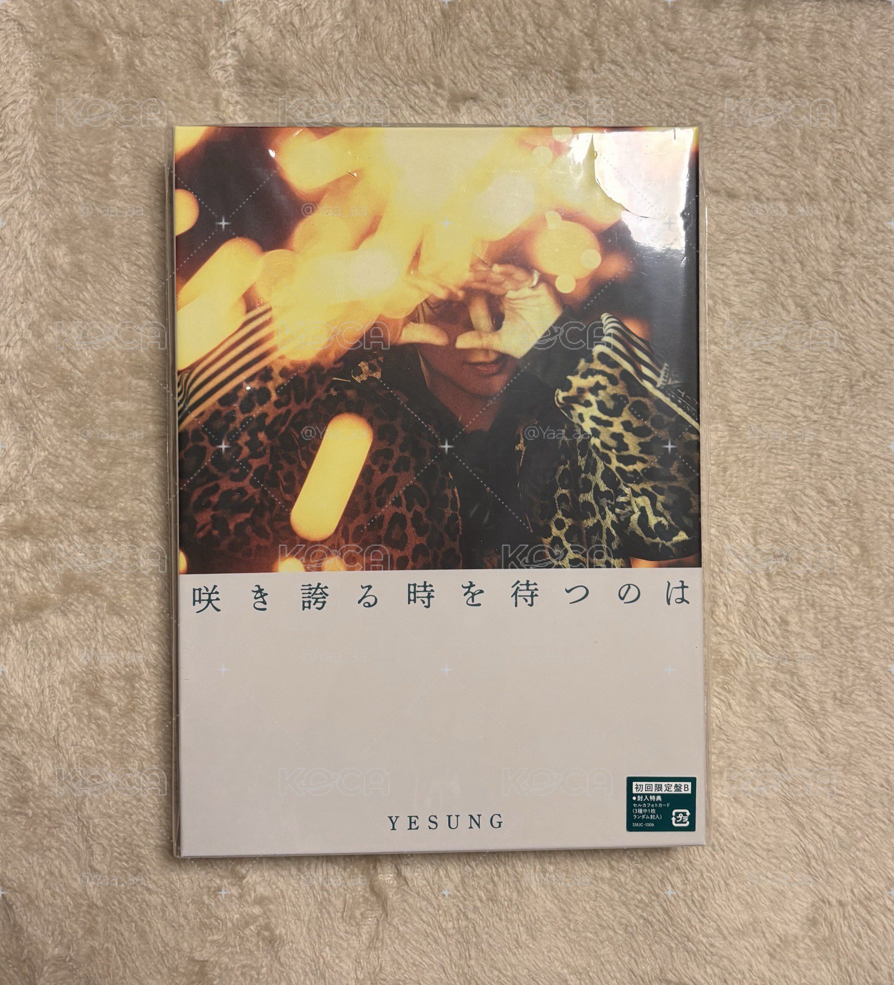 藝聲日專2 空專
