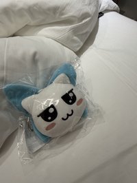 賢