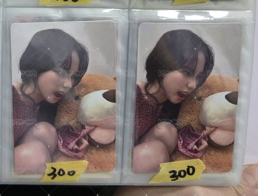 抱熊柚