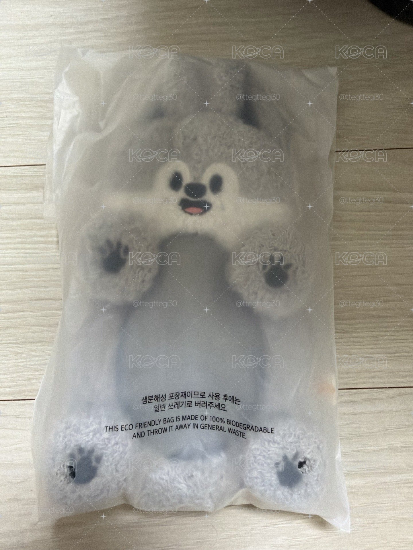 ⭐️五期飯咪 燦菲 卡套-全新未拆