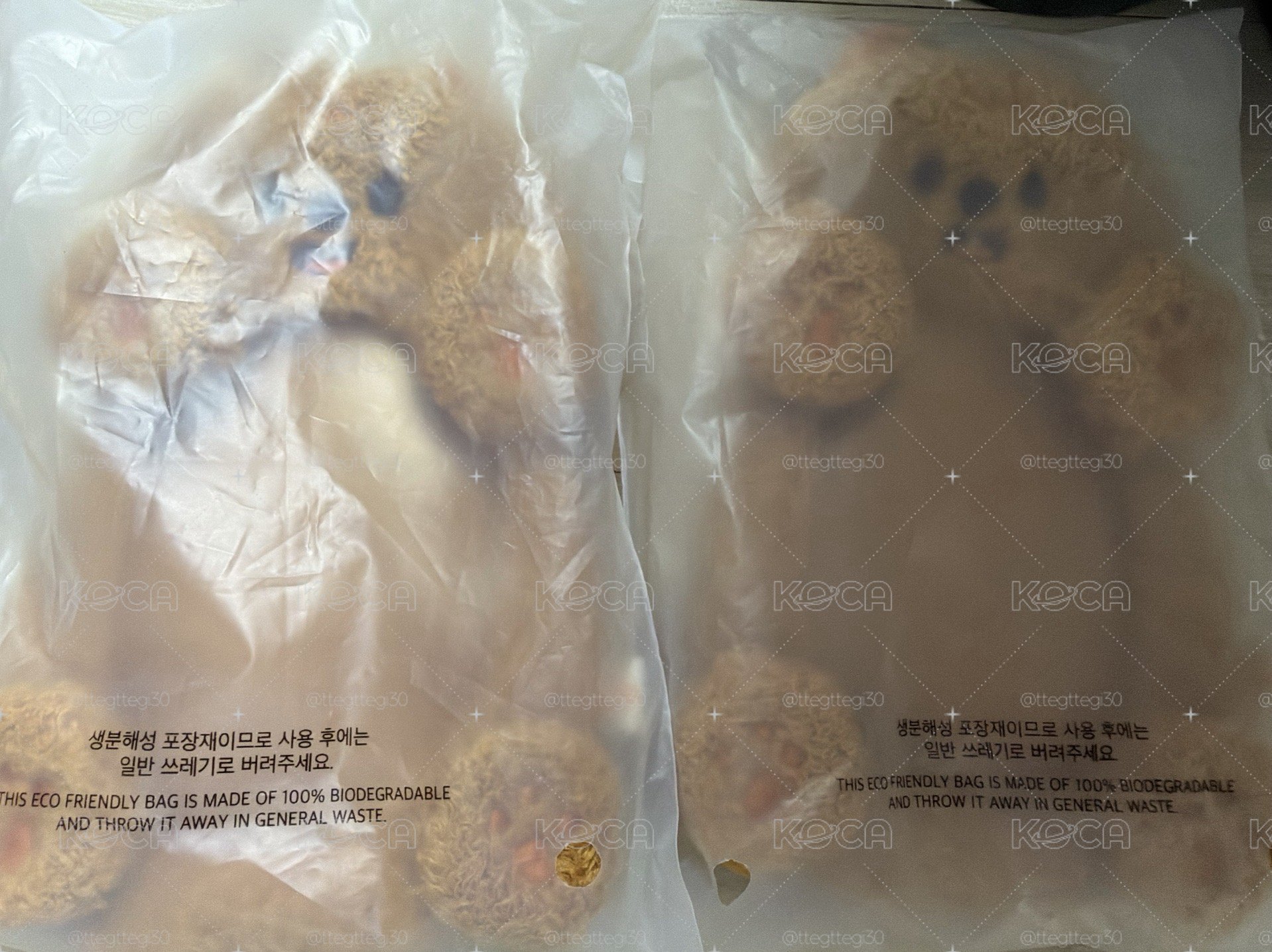 ⭐️五期飯咪 燦辰城菲玟寅 卡套-全新未拆
