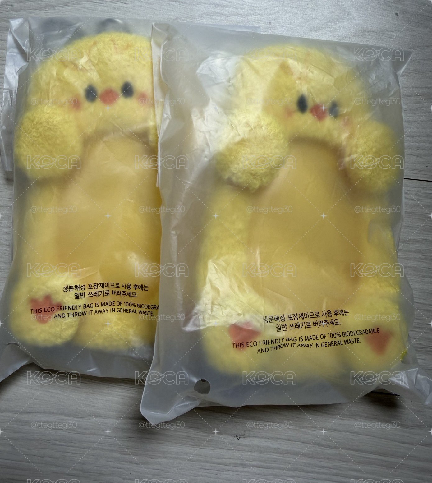 ⭐️五期飯咪 燦辰城菲玟寅 卡套-全新未拆