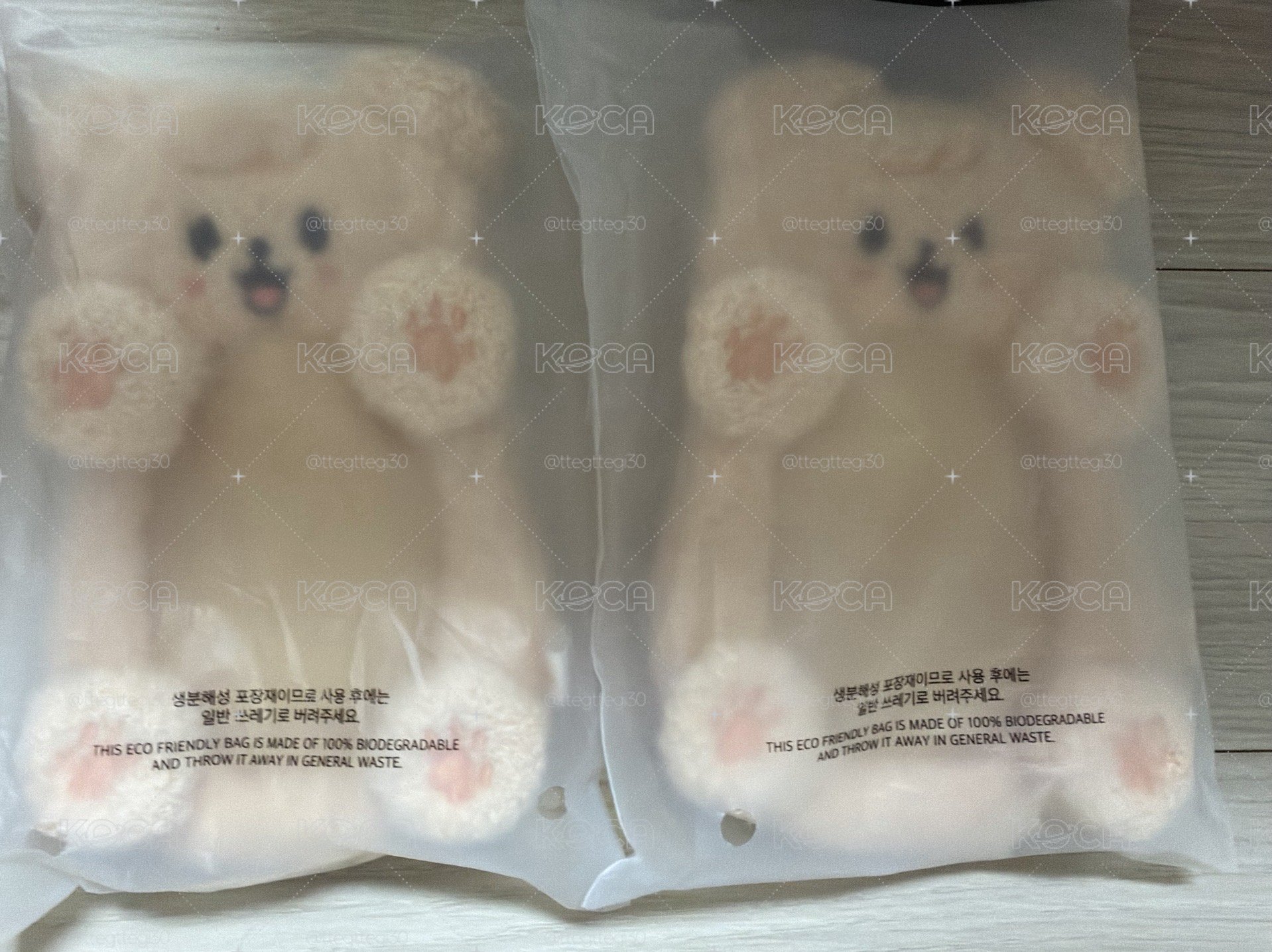 ⭐️五期飯咪 燦辰城菲玟寅 卡套-全新未拆
