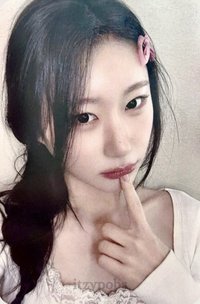 Motto ms 香港 線上 簽售卡 迷你蝴蝶結