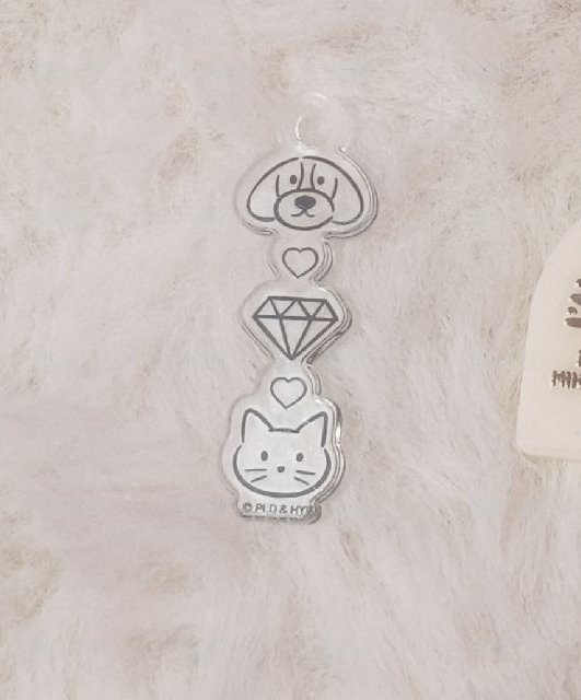 🐶💎🐱