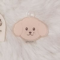 도아🐶