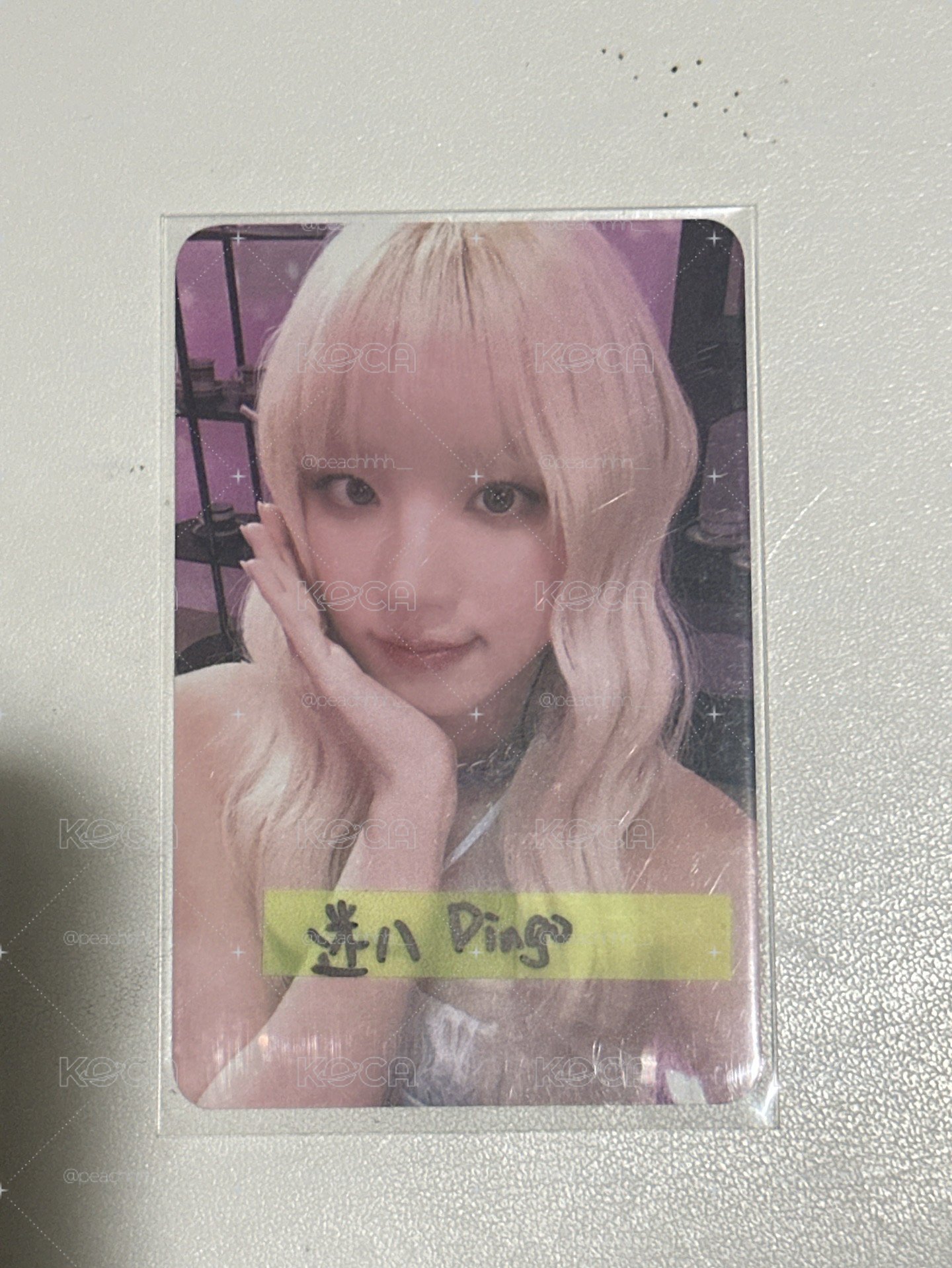 dingo琦