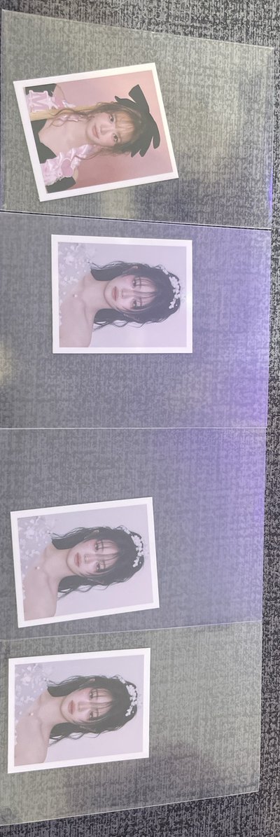 丹 塔 大頭貼